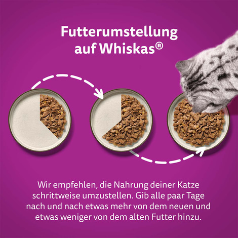 Whiskas Tasty Mix Multipack Chef's Choice in Sauce 60x85g