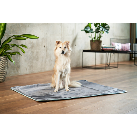 ZooRoyal Kuscheldecke Levi anthrazit 120 x 100 cm