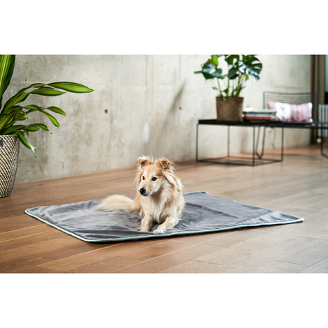 ZooRoyal Kuscheldecke Levi anthrazit 120 x 100 cm
