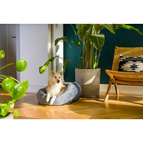 ZooRoyal Kuschelbett Comfy