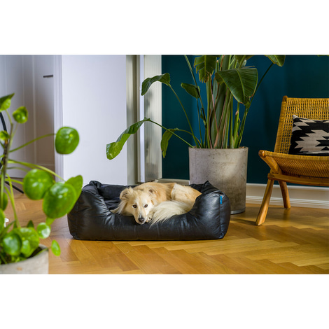ZooRoyal Hundebett Deluxe