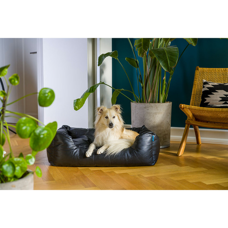 ZooRoyal Hundebett Deluxe
