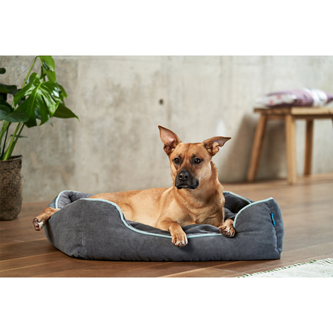 ZooRoyal Hundebett Kian Anthrazit 73 x 60 cm