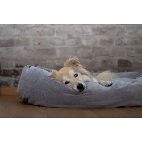 ZooRoyal Kuschelbett rund für Haustiere 95 cm