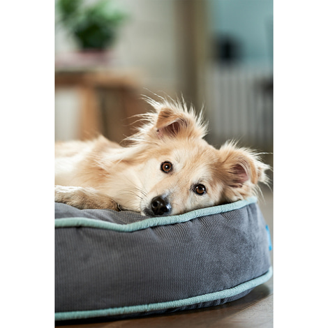 ZooRoyal Hundekissen Elias Anthrazit