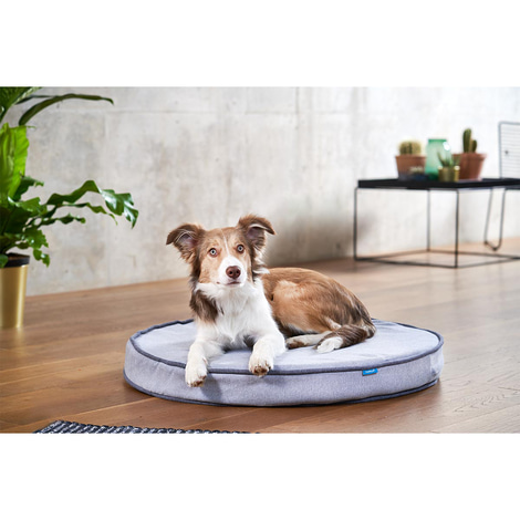 ZooRoyal Orthopädisches Hundekissen Elias rund grau