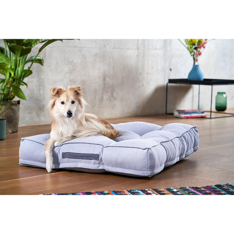 ZooRoyal Hundekissen Max grau