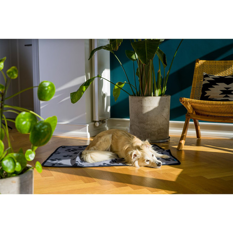 ZooRoyal Kuscheldecke Kali anthrazit