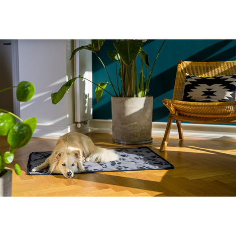 ZooRoyal Kuscheldecke Kali anthrazit