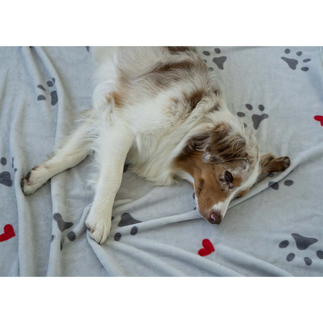 ZooRoyal Kuscheldecke Tierliebe 125x150 cm
