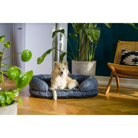 ZooRoyal Orthopädisches Hundebett Lasse