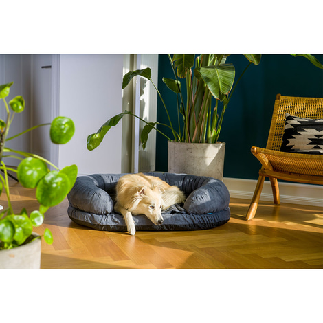 ZooRoyal Orthopädisches Hundebett Lasse