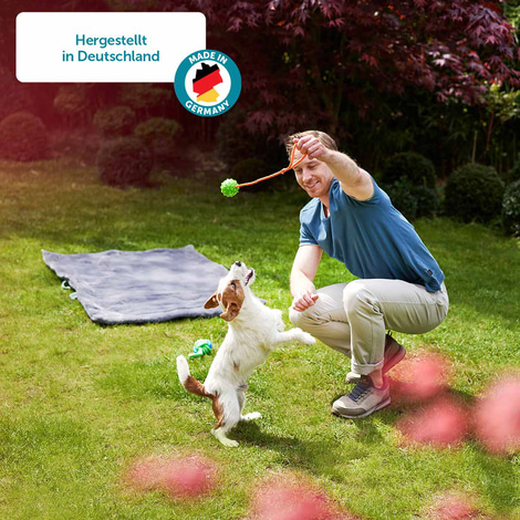ZooRoyal Hunde-Nassfutter mit Rinderherzen