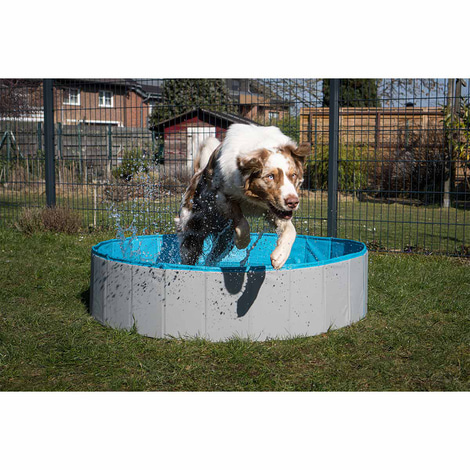 ZooRoyal Hundepool