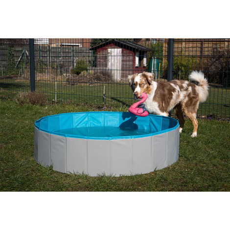 ZooRoyal Hundepool