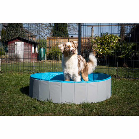 ZooRoyal Hundepool