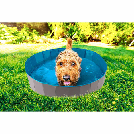 ZooRoyal Hundepool