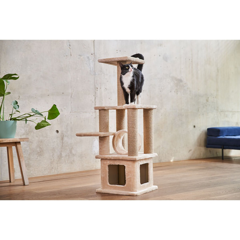 ZooRoyal Kratzbaum Sofia 114 cm creme