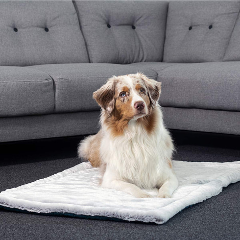ZooRoyal Premium Haustier Kuscheldecke Luna 115x71 cm