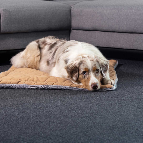 ZooRoyal Premium Haustier Kuscheldecke Luna 115x71 cm