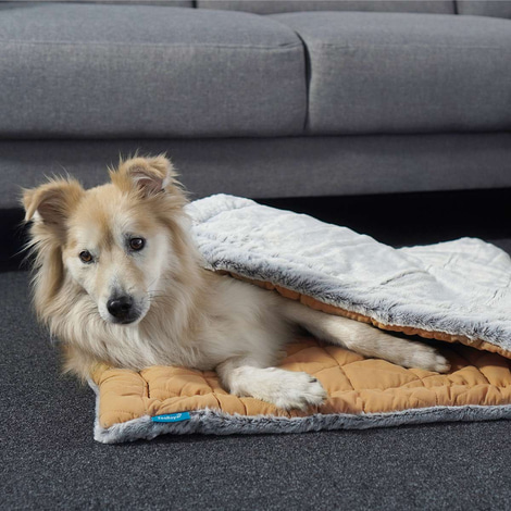 ZooRoyal Premium Haustier Kuscheldecke Luna 115x71 cm