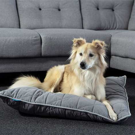 ZooRoyal Haustier Kuschelkissen Luna 75x60 cm