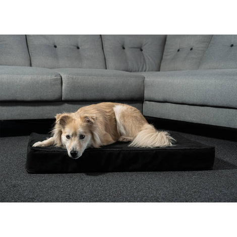 ZooRoyal Orthopädisches Premium Hundekissen Luna