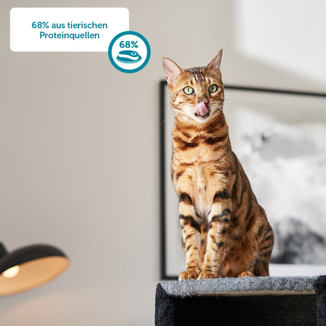 ZooRoyal Katze Rind + Huhn & Entenherzen