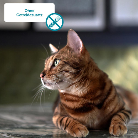 ZooRoyal Katze Rind + Huhn & Entenherzen