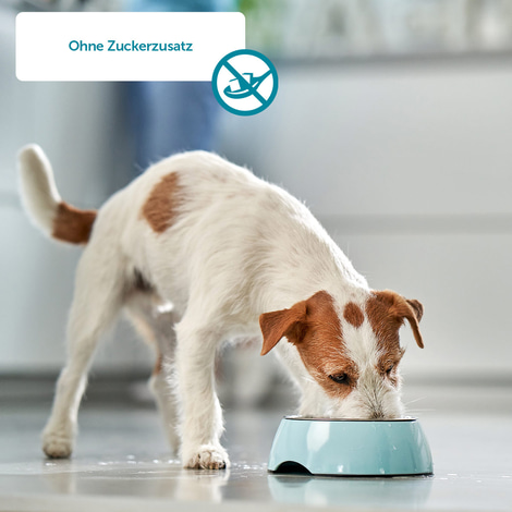 ZooRoyal veganer Kausnack