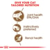 ROYAL CANIN AGEING 12+ in Soße Nassfutter für ältere Katzen