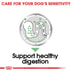 ROYAL CANIN DIGESTIVE CARE Nassfutter für Hunde mit empfindlicher Verdauung 12x85g