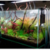 TWINSTAR 2 Aquarium-Sterilisator M3