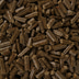 Bunny KaninchenTraum oral