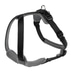 Hunter Geschirr Neopren Schwarz/Grau