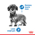 ROYAL CANIN LIGHT WEIGHT CARE Nassfutter für Hunde mit Neigung zu Übergewicht12x85g