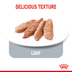 ROYAL CANIN LIGHT WEIGHT CARE Nassfutter für Hunde mit Neigung zu Übergewicht12x85g