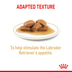 ROYAL CANIN Labrador Retriever Adult Stückchen in Soße Nassfutter für Hunde
