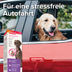 beaphar CaniComfort® Wohlfühl-Spray 60ml