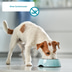 ZooRoyal Vital Plus Trockenfutter