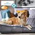 ZooRoyal Hunde-Nassfutter Pansen