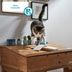 ZooRoyal Katzen-Grillies mit Rind