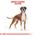 ROYAL CANIN Boxer Adult Hundefutter trocken