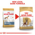 ROYAL CANIN Boxer Adult Hundefutter trocken