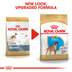 ROYAL CANIN Boxer Puppy Welpenfutter trocken