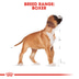ROYAL CANIN Boxer Puppy