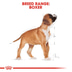 ROYAL CANIN Boxer Puppy Welpenfutter trocken