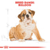 ROYAL CANIN Bulldog Puppy Welpenfutter trocken