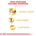 ROYAL CANIN Cavalier King Charles Adult Hundefutter trocken