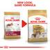 ROYAL CANIN Cavalier King Charles Adult Hundefutter trocken